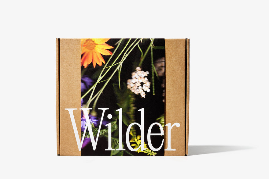 files/251124_WILDERLAND_doos_9st_TC.jpg